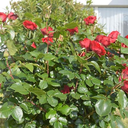 Готель Les Jardins D'Oleron Сен-П'єрр-д'Олерон Екстер'єр фото