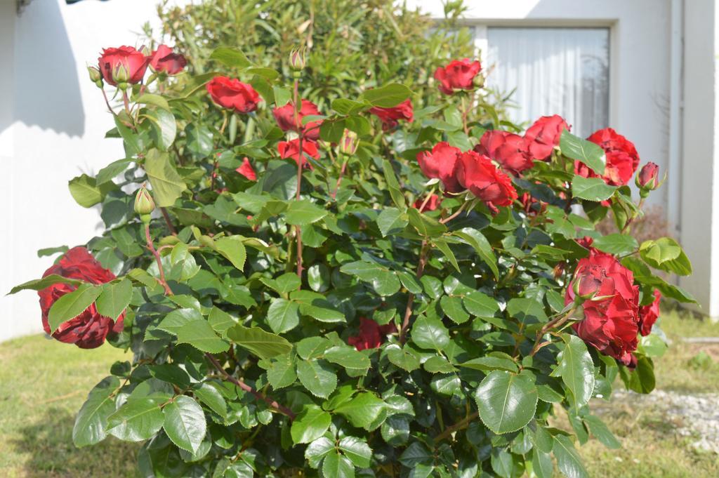 Готель Les Jardins D'Oleron Сен-П'єрр-д'Олерон Екстер'єр фото